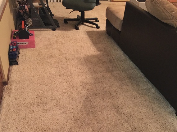 Carpet Cleaning