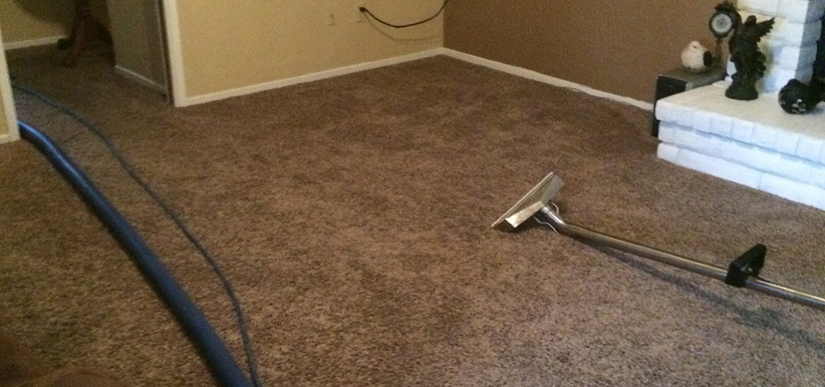 Carpet Cleaning