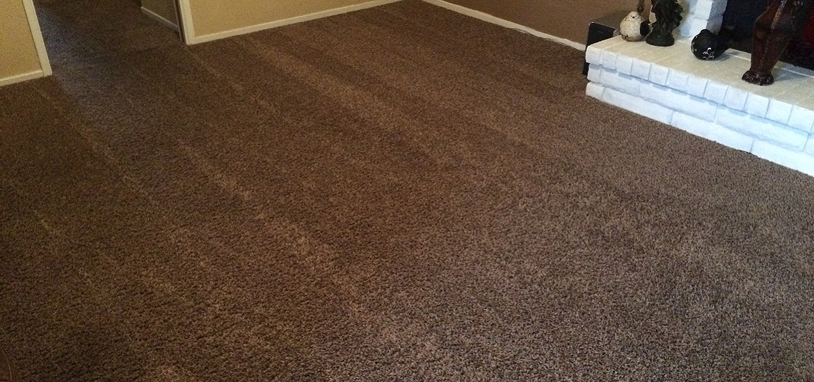 Carpet Cleaning